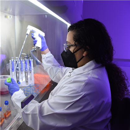 A researcher adds liquid to test tubes with a pipette